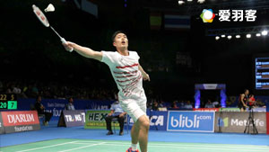 智的决定 智的决定