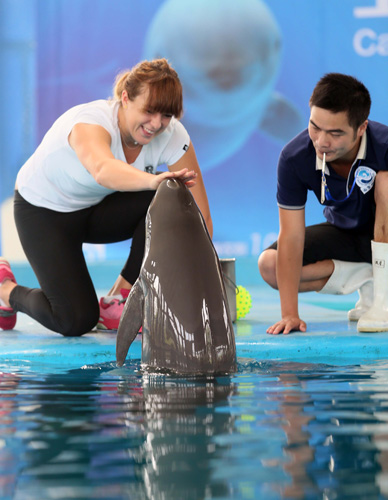 场地选择等 场地选择等