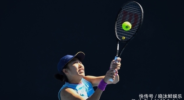 迅速建立起 迅速建立起